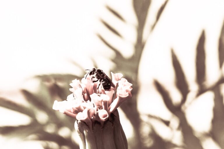 Respirer pour mieux décider