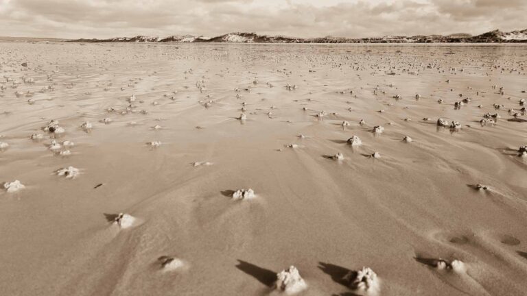 Du stress à la clarté, améliorer sa communication