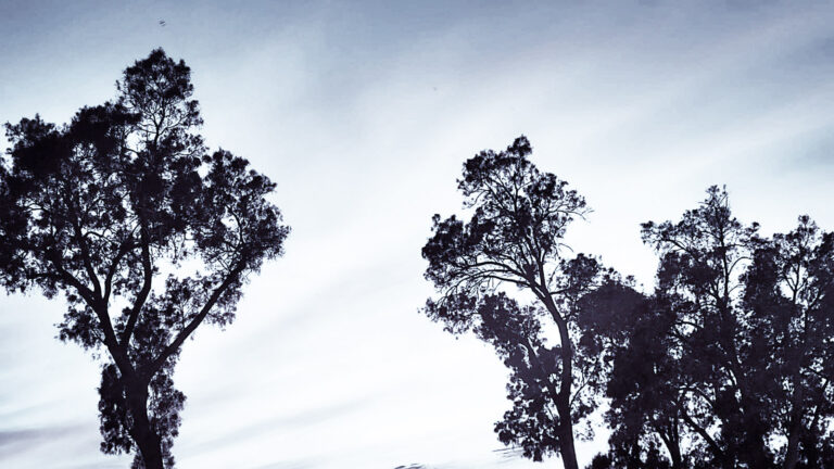 Pourquoi le compromis ruine vos négociations