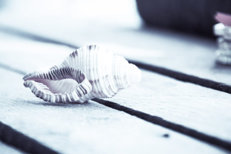 Pourquoi les conversations deviennent gênantes ?